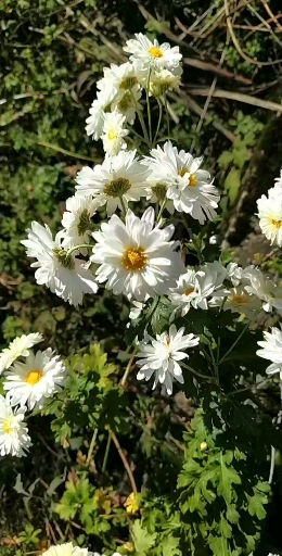 기부금 영수증과 세금계산서 기부금 영수증과 세금계산서