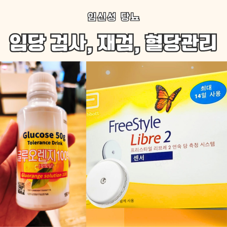  [임신 26주차] 임산부 임당 검사, 임당 재검, 임당확정 후 혈당측정기(Libre2) |임신성 당뇨 | 강북삼성병원