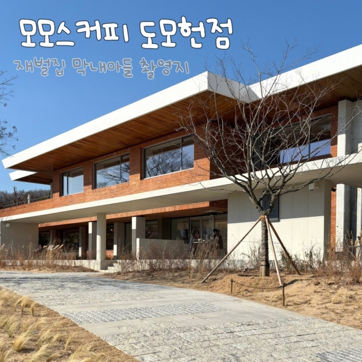  모모스커피 도모헌 광안리 애견동반 카페 웨이팅 및 주차