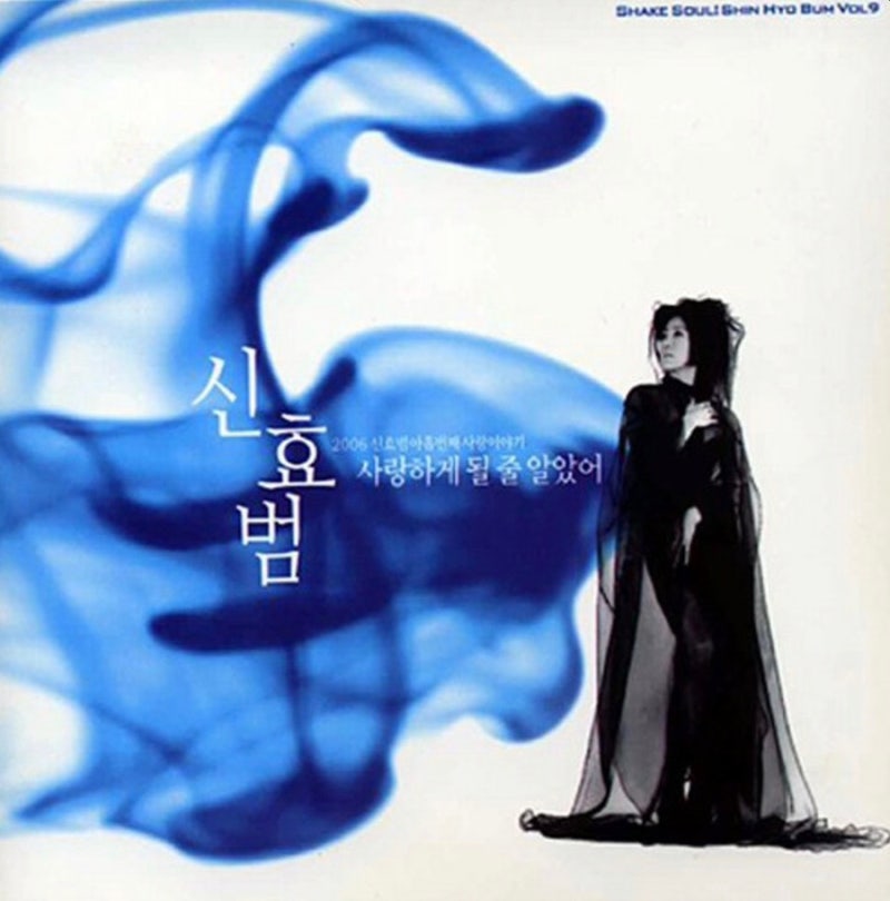 사랑하게 될 줄 알았어 신효범노래