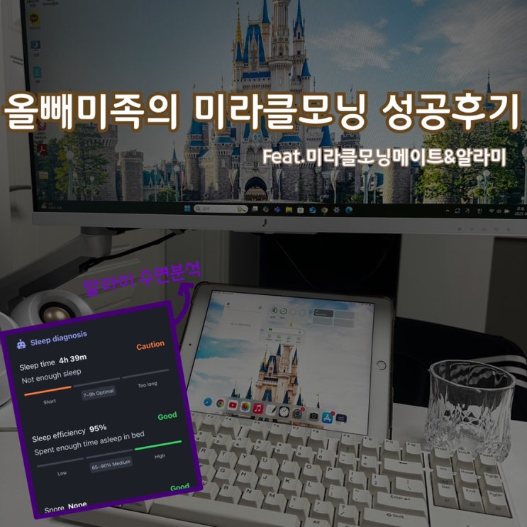  올빼미족의 미라클모닝 성공 방법 : 나이트루틴부터 모닝루틴까지 데일리루틴 세팅하기! (feat. 미라클모닝 메이트)