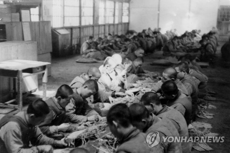 <b>젤렌스키 북한군</b> 생포, 예상치 못한 포로들, <b>러시아</b> 쿠르스크... 