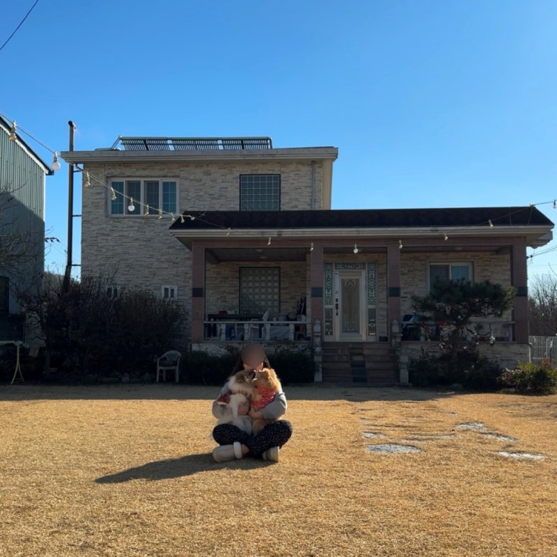 사진 6