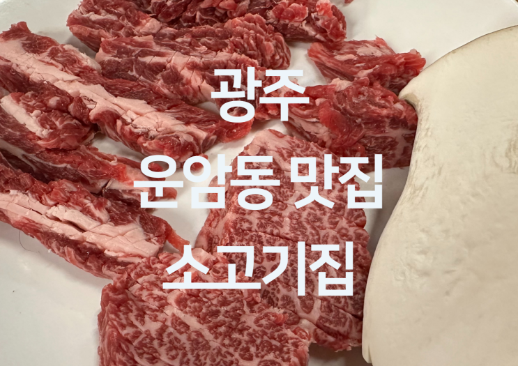  광주 운암동 맛집 - 운암동 소고기 맛집 운암동고기집 한우 맛집 "소고기집"