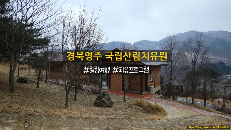 [경북영주]국림산림치유원 위치 이용안내, 치유프로그램 가족여행