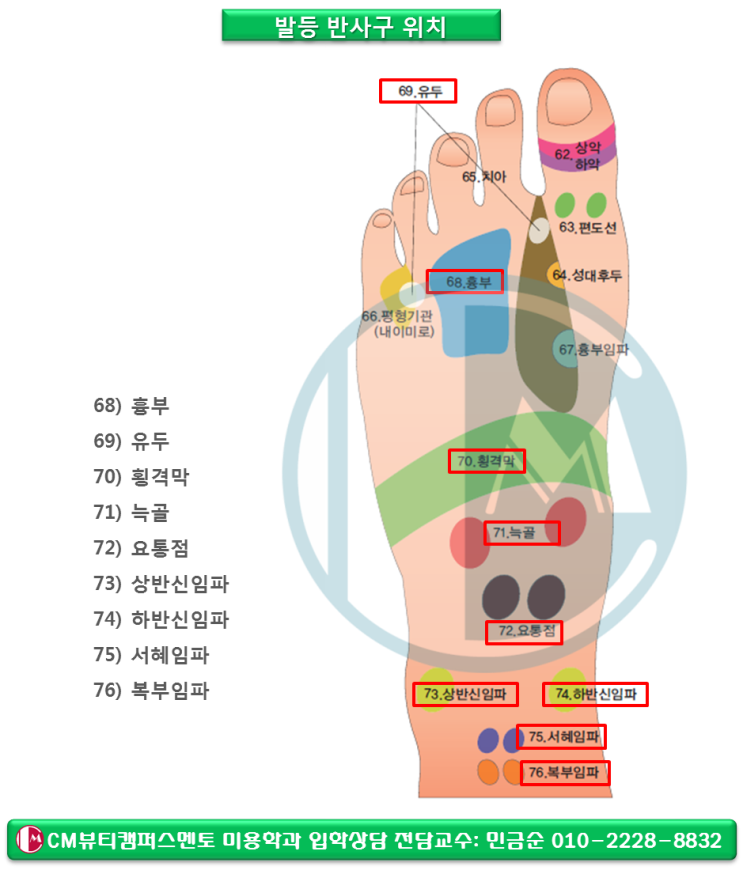  대학교 미용학과 발마사지 실습 교육으로 뷰티샵 창업하기