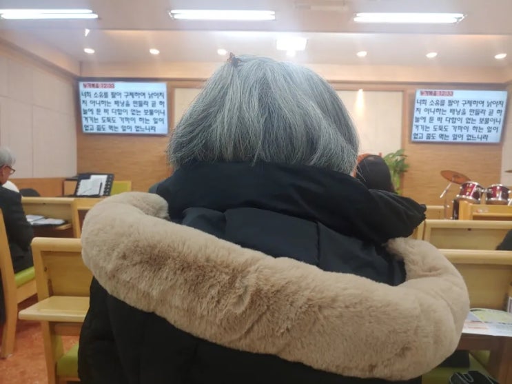 배움 배움