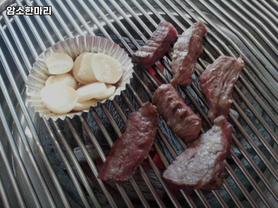 암소한마리 사진 1