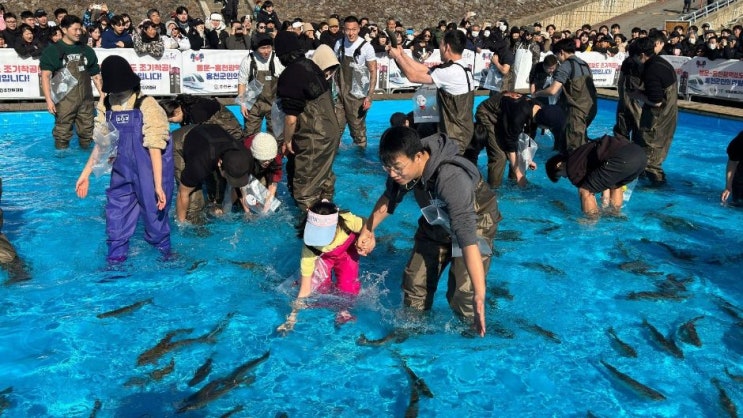  2025 홍천강 꽁꽁축제 기본정보 강원 홍천강 인삼송어 축제