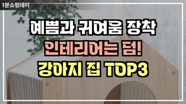  반려견을 위한 예쁜 갬성 하우스 BEST 3