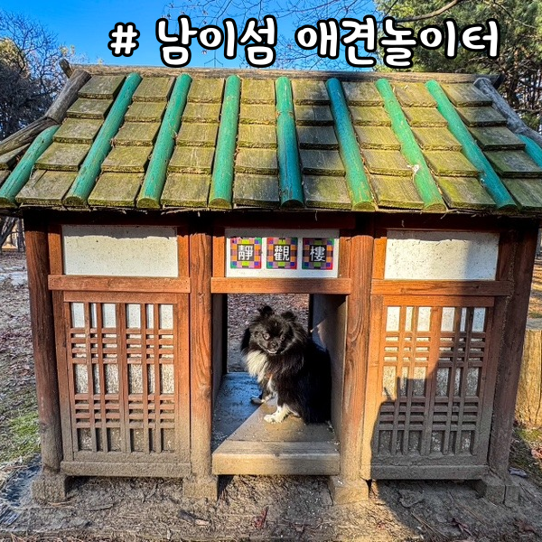 사진 4