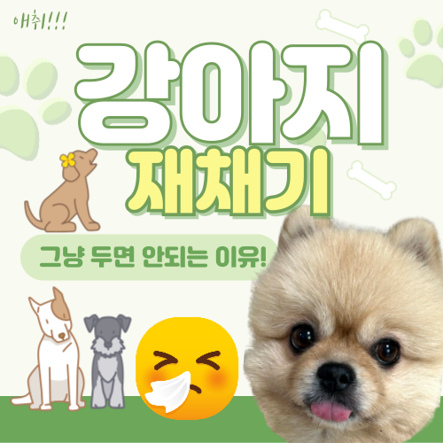  강아지 재채기 콧물 방치하면 안 되는 이유
