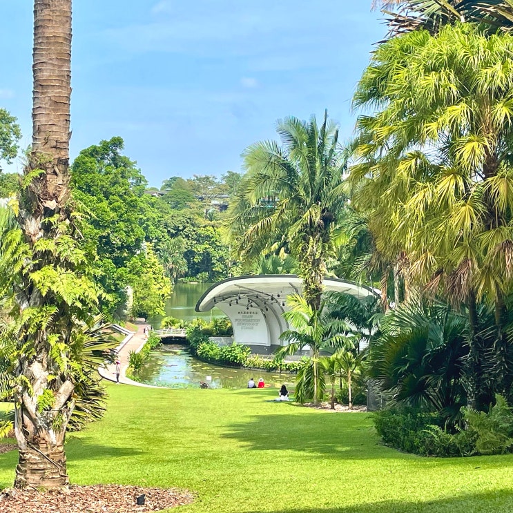  #250112 싱가포르 여행 - 싱가포르 보타닉 가든 Singapore Botanic Gardens