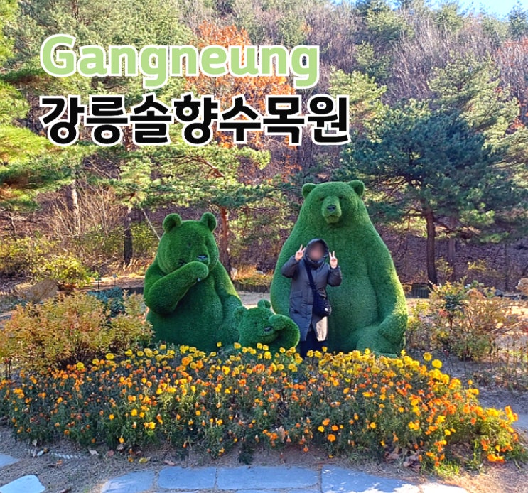 강릉솔향수목원 겨울 낭만 리뷰 입장료 가볼만한 곳