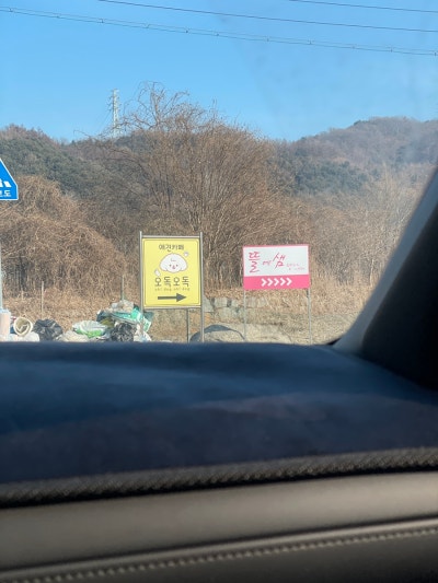 사진 6