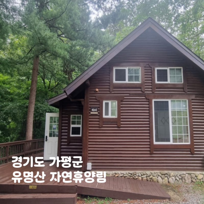 유명산 자연휴양림 숲속의 집 6인실 꾀꼬리 산림복합체험센터 숲해설