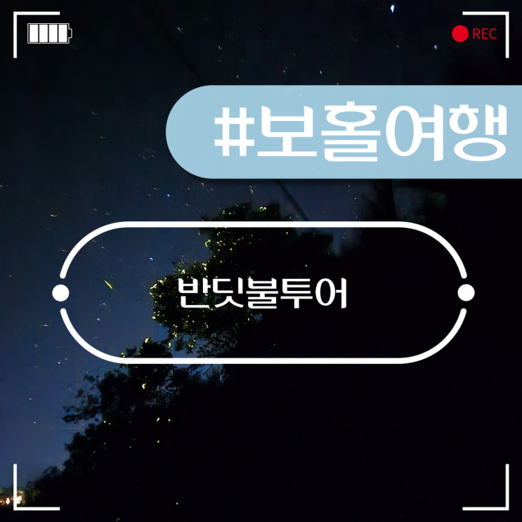  보홀 육상투어 반딧불투어 후기 몽키호핑 투어 금액 시간 확인하세요