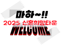  2025 신혼희망타운 조건과 혜택 신청방법 한눈에 정리