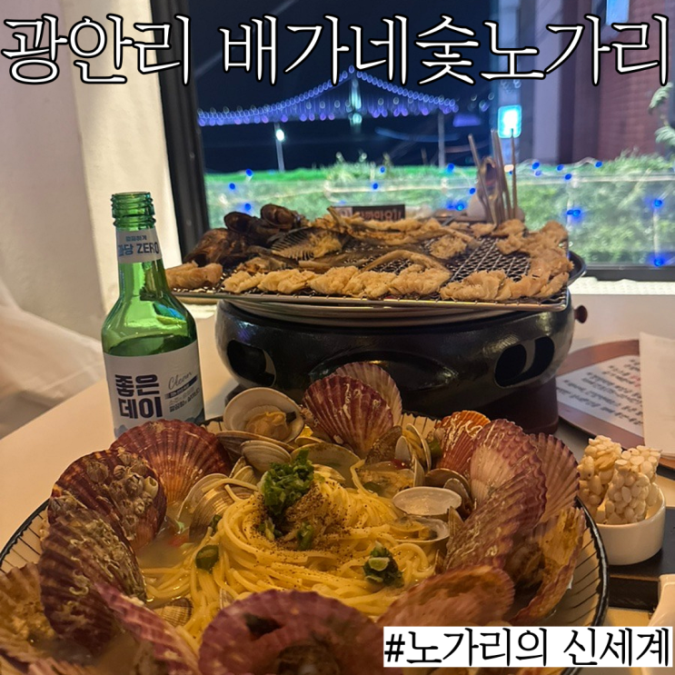  광안리뷰맛집: 명품 노가리와 광안대교가 함께하는 안주맛집 "배가네숯불노가리"