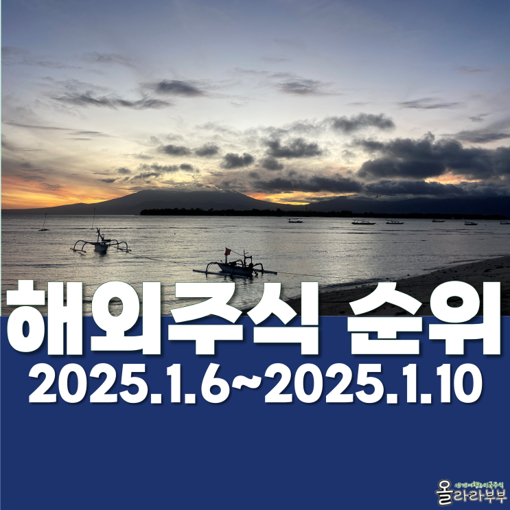  미국주식 장기투자 추천 순위 시총순위 TSLL NVDL MSTU