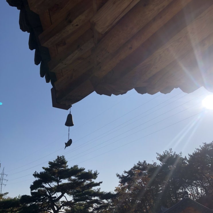  신상폴더 이게뭐냐면