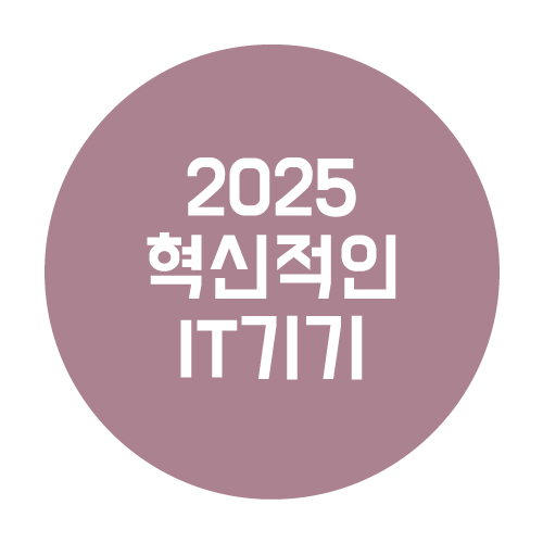  2025년 주목할 만한 혁신적인 IT 기기
