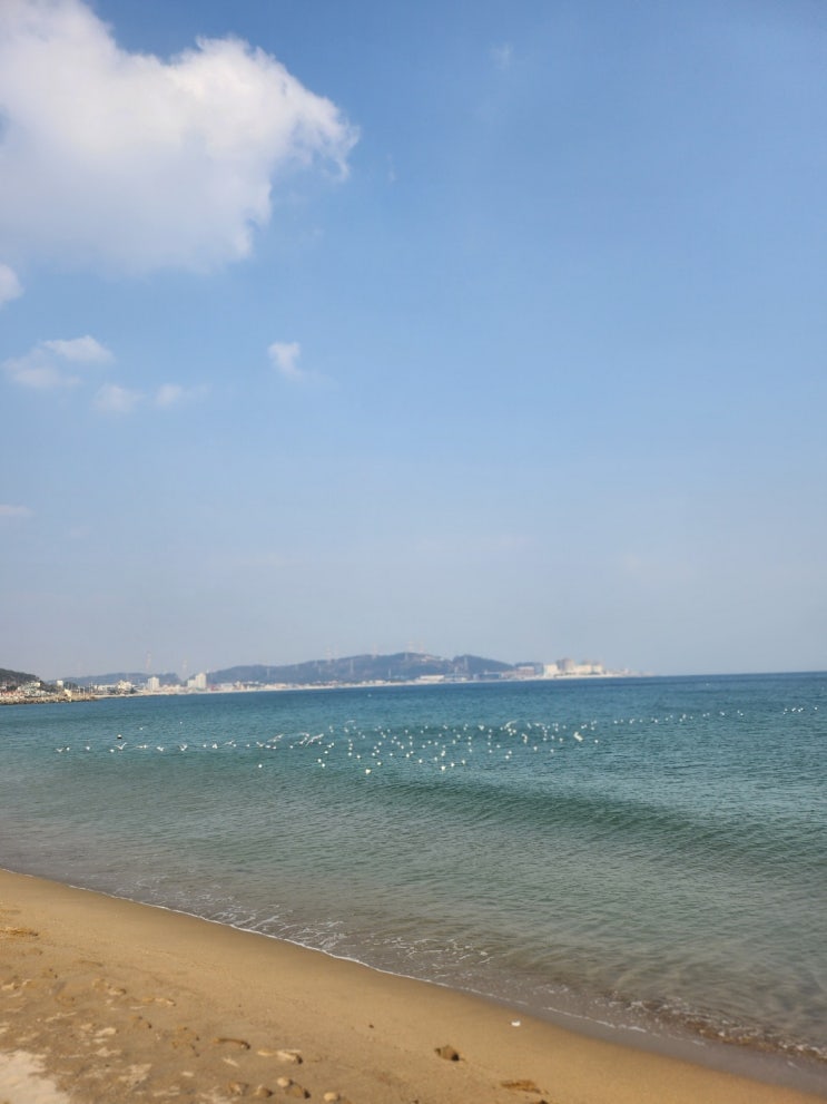 [알기 쉬운 법률]대통령/<b>체포영장</b>재<b>집행</b>/<b>공수처</b>... 