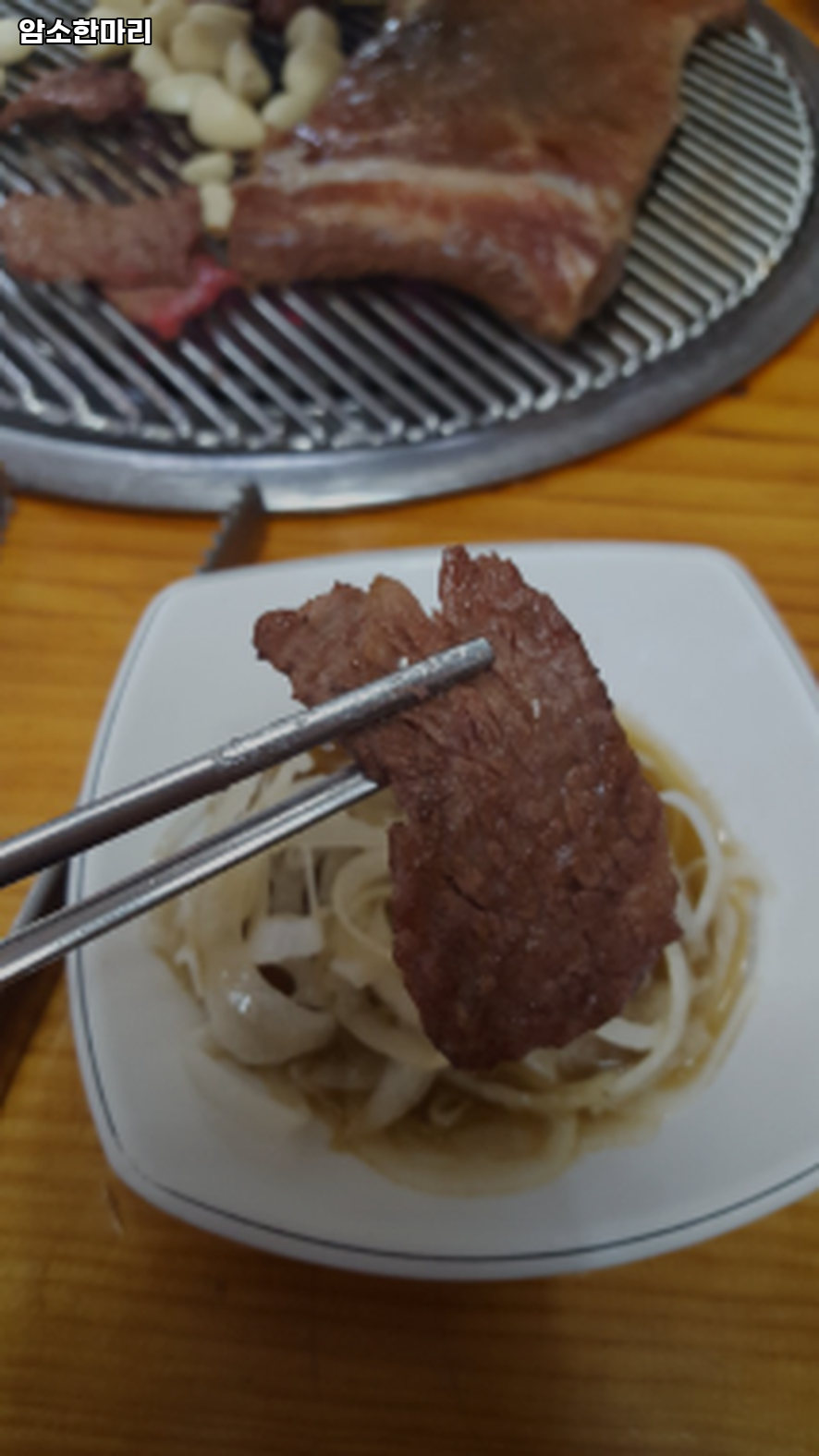 암소한마리 사진 4