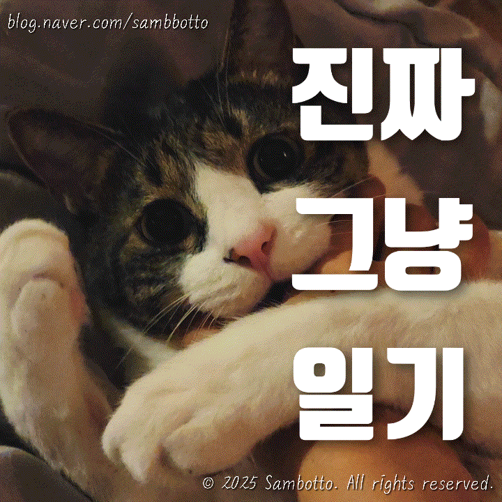  진짜 그냥 일기 | 비몽사몽으로 동물병원 출동 | 밀린 집안일하기 | 푹 쉬고 푹 자고 잘 먹고