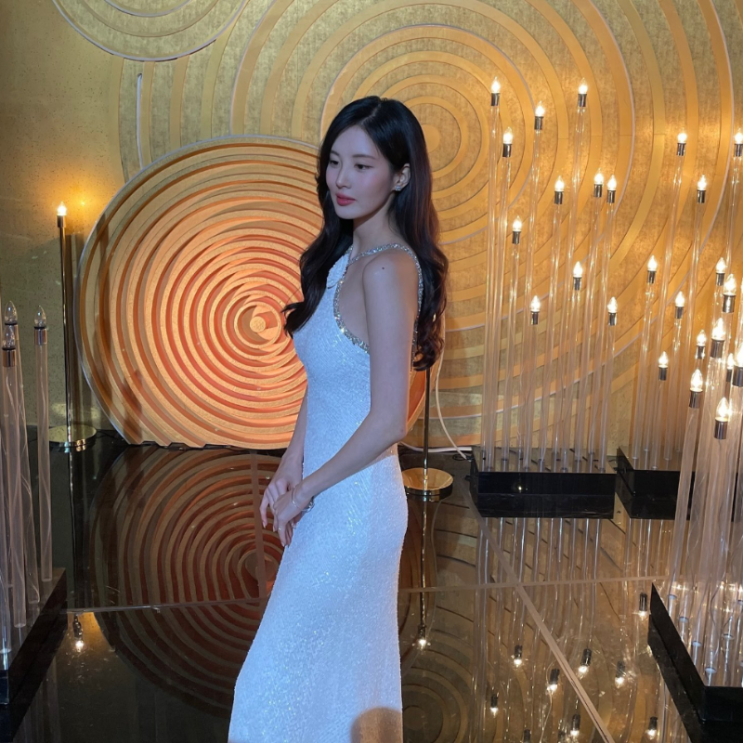  서현 KBS 연기대상 하이엔드 드레스 나임 칸 컬렉션