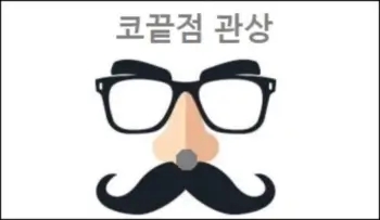  코끝점 관상 참고하세요