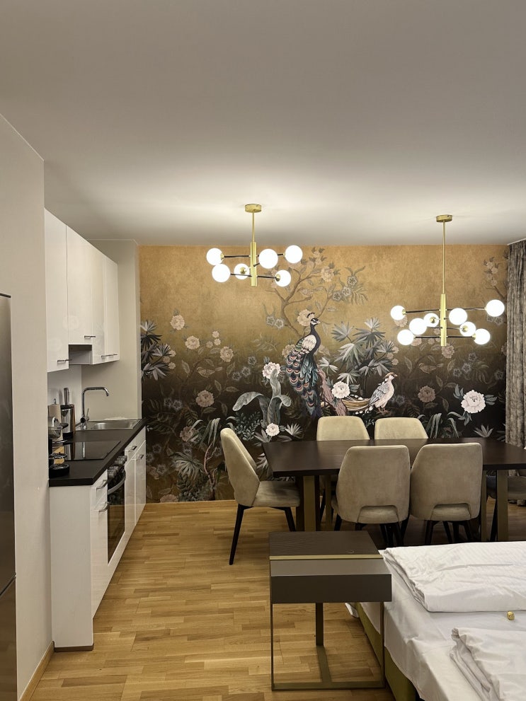  비엔나 숙소 추천 - 쇤브룬 궁전 근처에 있는 Abieshomes Hotel