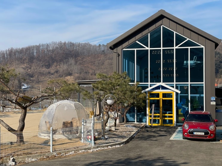  원주 오독오독 :: 반려견이 행복하게 뛰어놀 수 있는 천연 잔디와 산책로가 있는 애견카페와 애견유치원