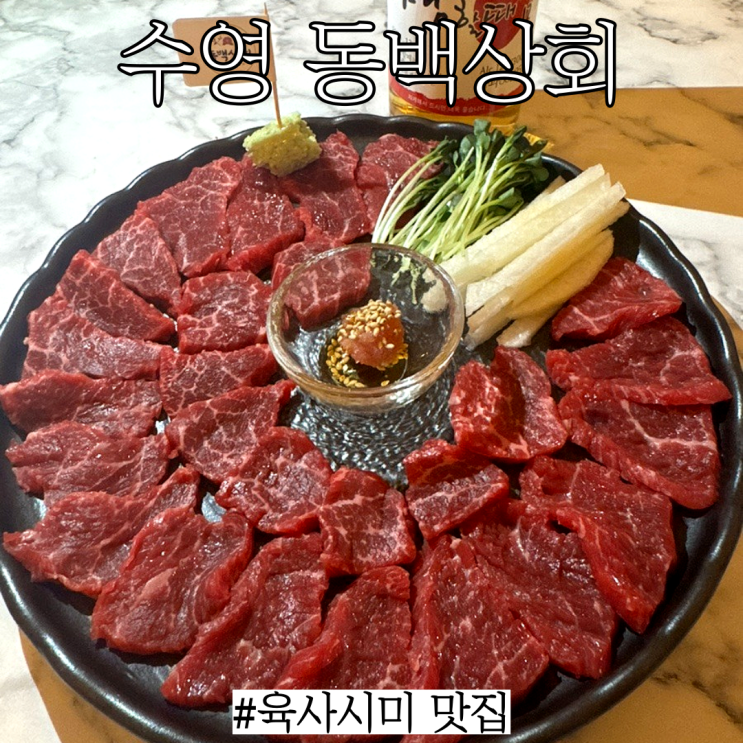  수영역 술집: 테라스 좌석도 있고 최근 리뉴얼한 분위기 좋은 술집 “동백상회”