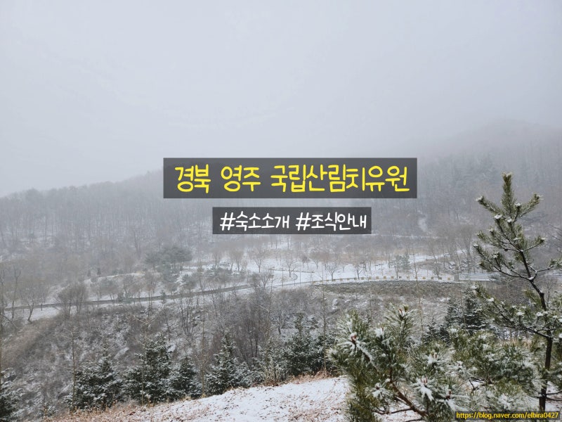[경북영주] 국립산림치유원 숙소소개, 조식안내 가족여행