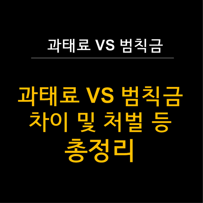  과태료 VS 범칙금 완벽 비교 - 운전자가 꼭 알아야 할 차이점 