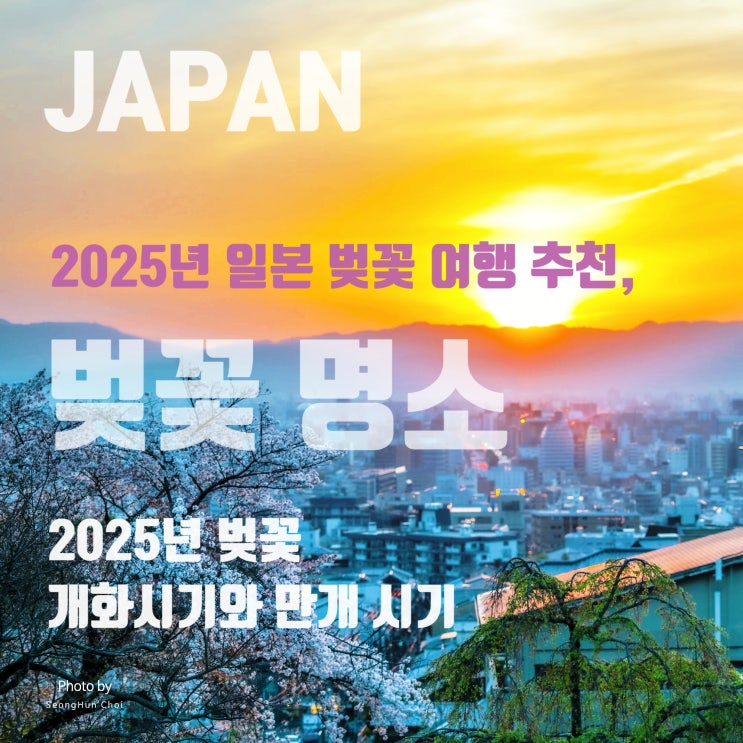  2025년 일본 벚꽃 여행: 벚꽃개화 지도와 일본 전국 벚꽃 명소 얼렁뚱땅 가이드