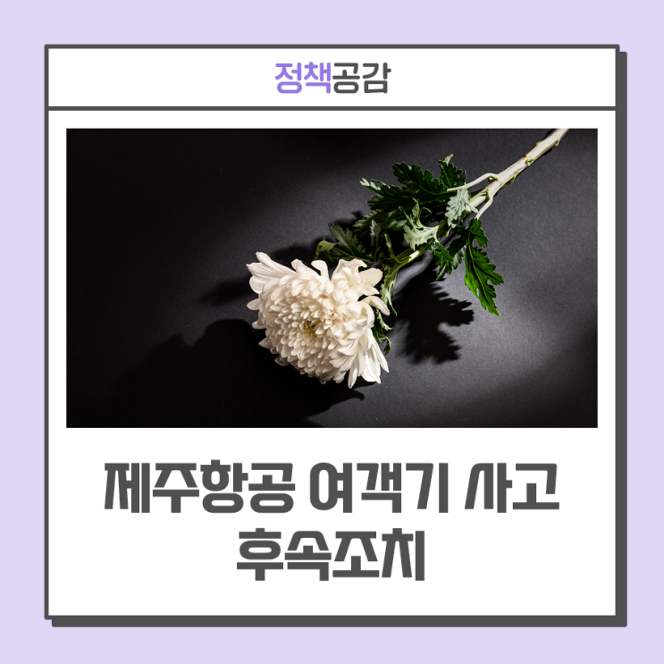 긴급 생계비 지원, <b>피해자</b> 및... 제주항공 <b>여객기 사고</b> 후속조치