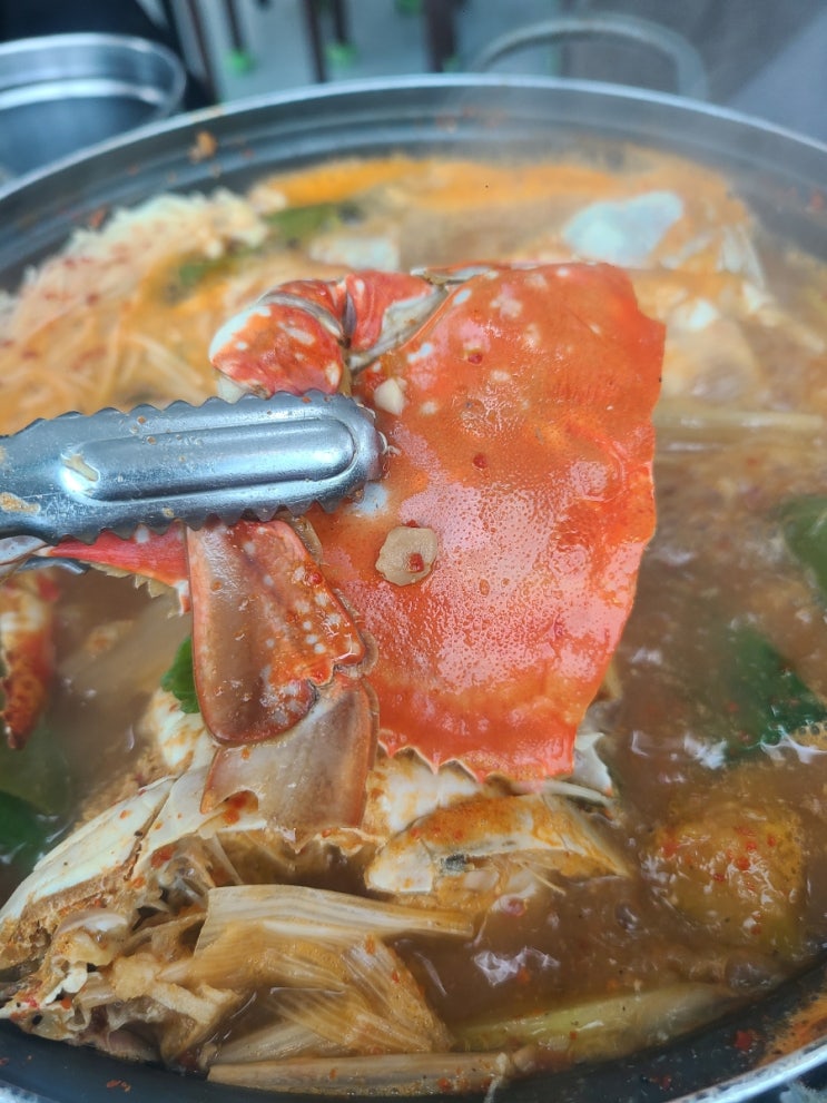  태안 꽃게 맛집 추천 시원한 국물 | 게국지까지 행복식당