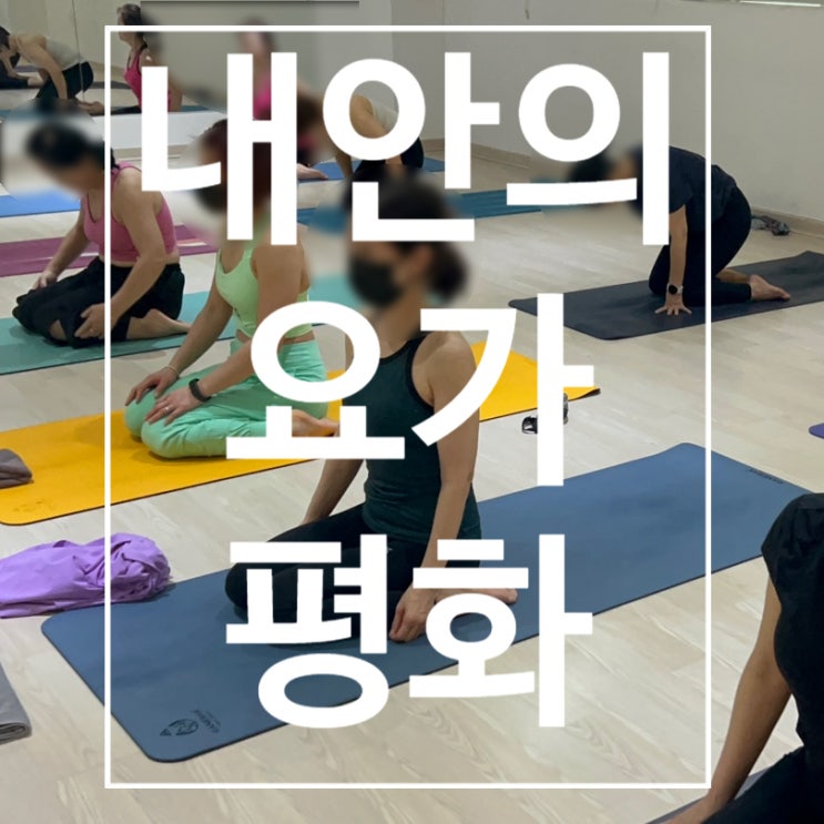  [탄현헬스] 요가 내안의 평화