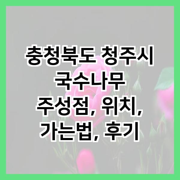 국수나무 청주주성점 사진 1