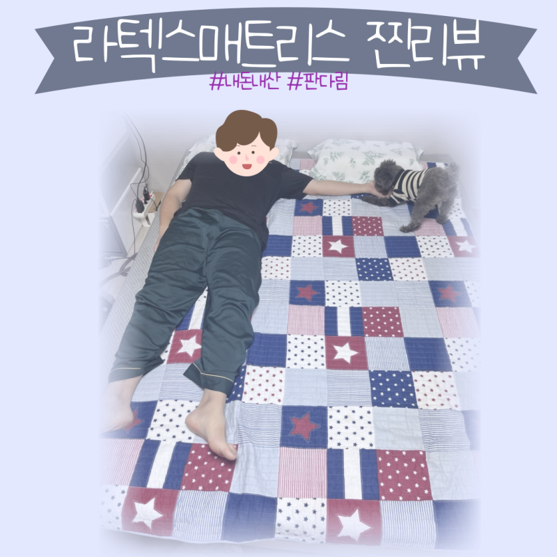 천연 라텍스매트리스 판다림 리뷰 (내돈내산)