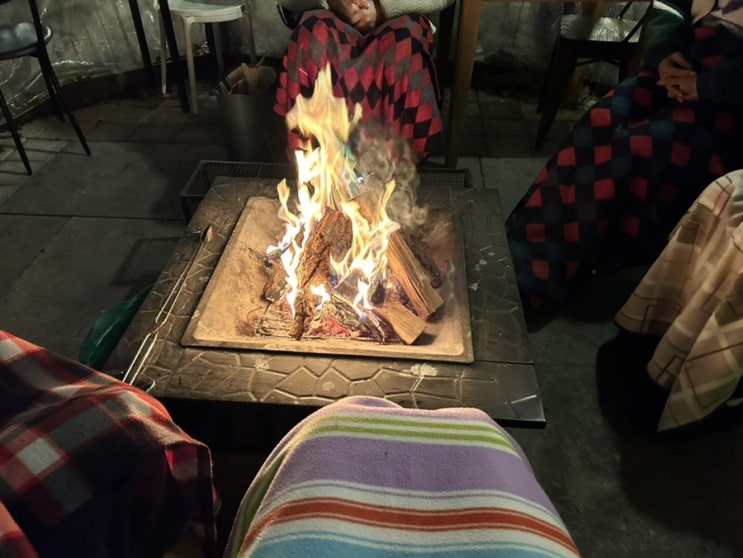  안산  동물 체험, 애견동반, 생일파티 가능한 불멍카페   ‘팜플로리아‘ ️