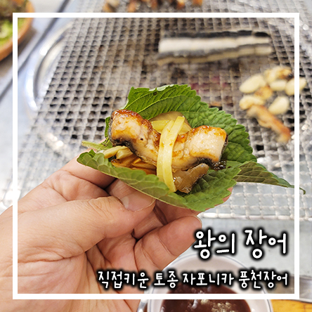  우이동 먹거리마을 맛집 스테미나 풍천 민물장어 키토산 오리구이 왕의장어