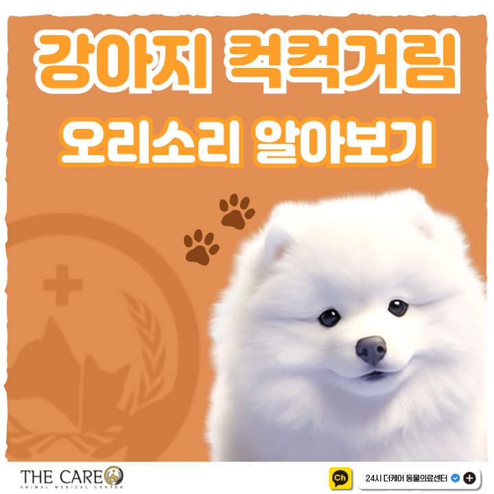  강아지 컥컥거림 오리소리 알아보기