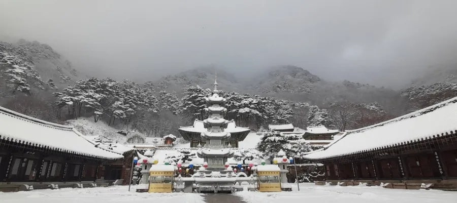 소궁라이브 사진 2