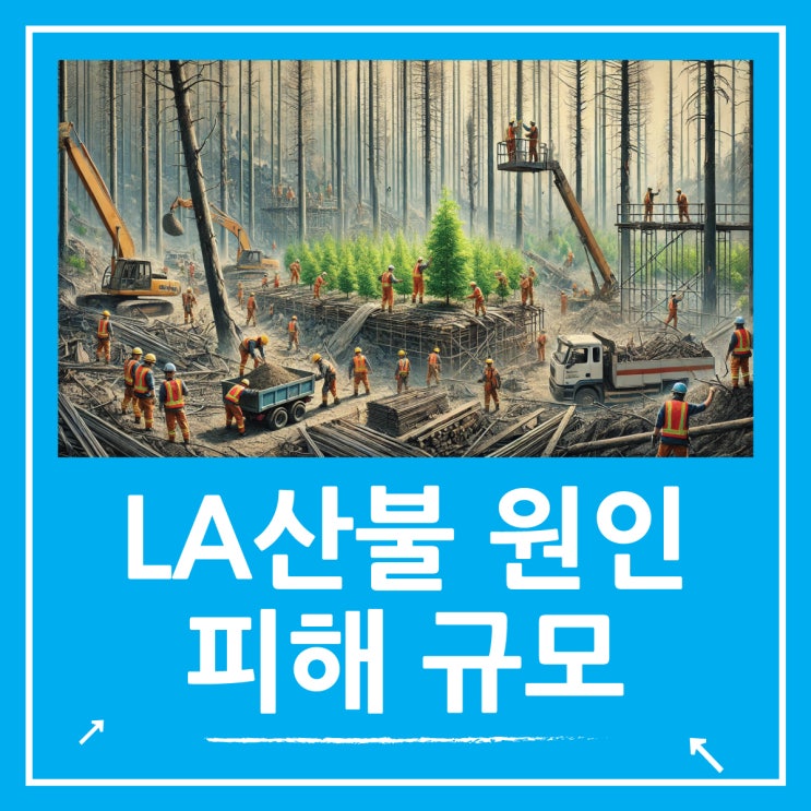  220조원에 달하는 피해, 미국 로스앤젤레스(LA) 산불 원인과 경제에 미치는 영향은?