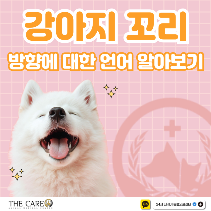  강아지 꼬리 방향 언어 알아보기