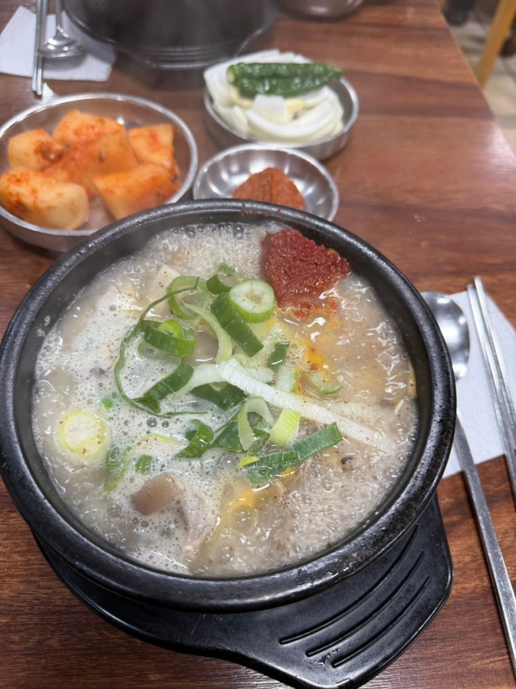  [한국순대 본점] 양재 순대국 맛집 내돈내산 돝랑 한국순대 주차가능 순대국 후기