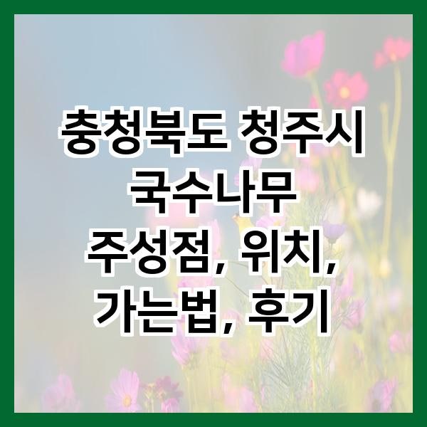 국수나무 청주주성점 사진 2